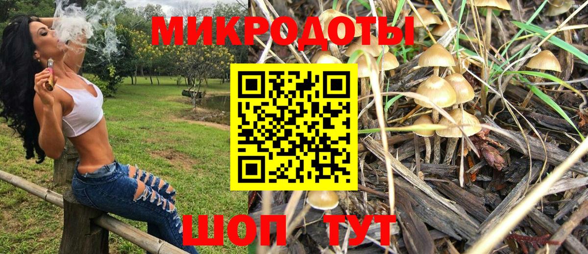 Прохладный  Псилоцибиновые грибы Psilocybine cubensis  Вход с VPN 